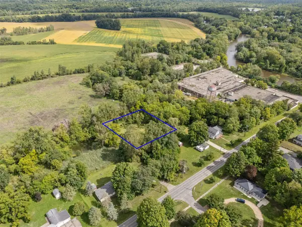 Parcel A Burgess, Lyons, MI 48851