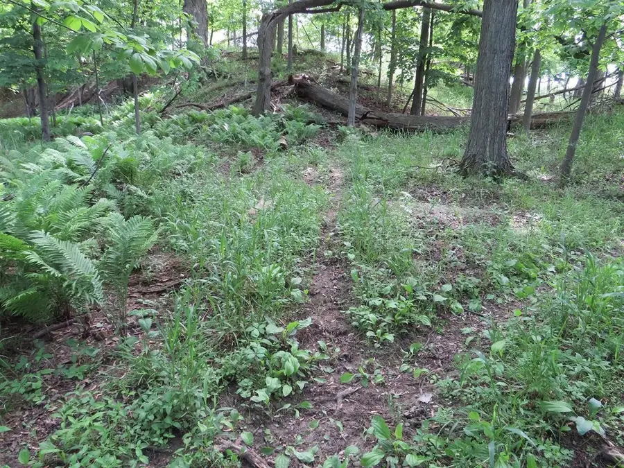 Vl Rescue, Grant, MI 48754 - #3