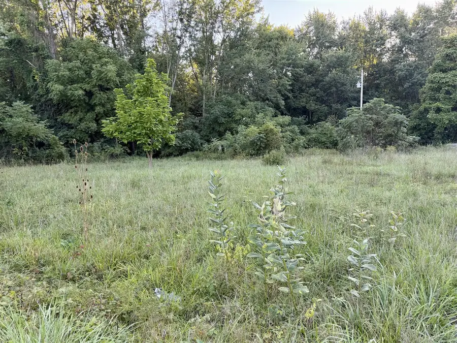 4050 Division, Wayland, MI 49348 - #3