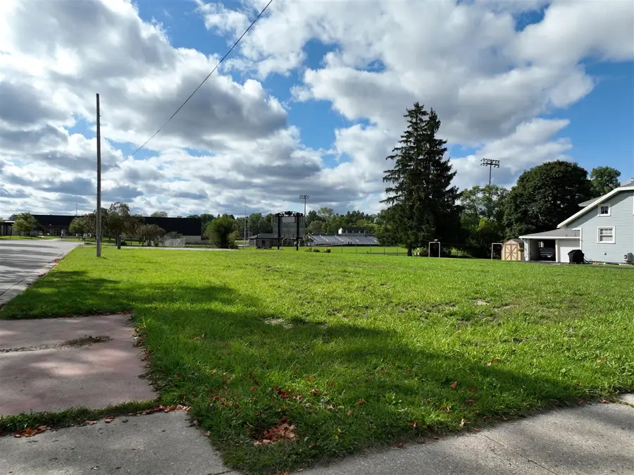 781 S Chestnut, Reed City, MI 49677 - #2
