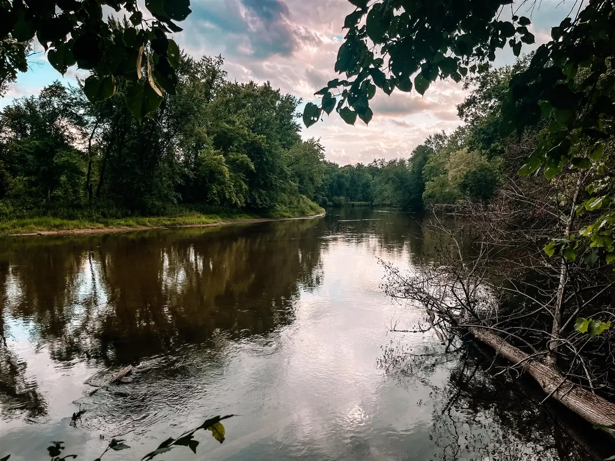 00 Big Bend, Evart, MI 49631 - #1