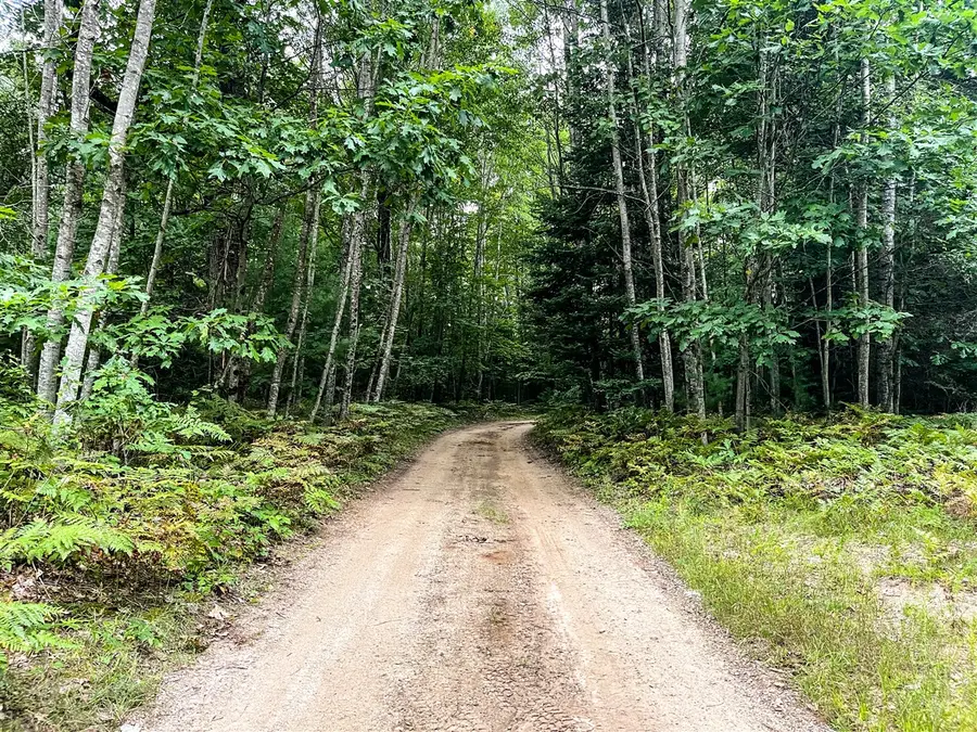 00 Big Bend, Evart, MI 49631 - #2