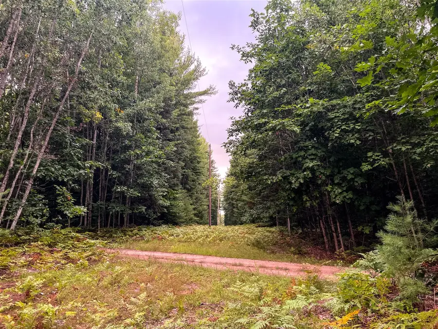 00 Big Bend, Evart, MI 49631 - #3