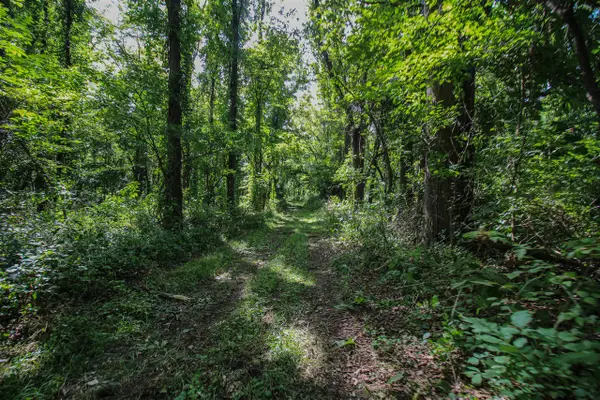 V/L Millard, Three Rivers, MI 49093