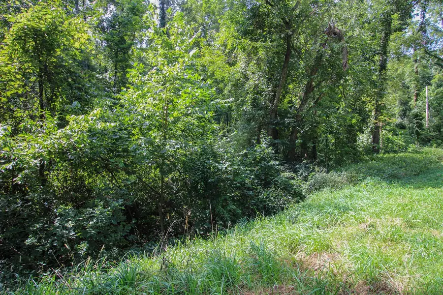 V/L Millard, Three Rivers, MI 49093 - #2