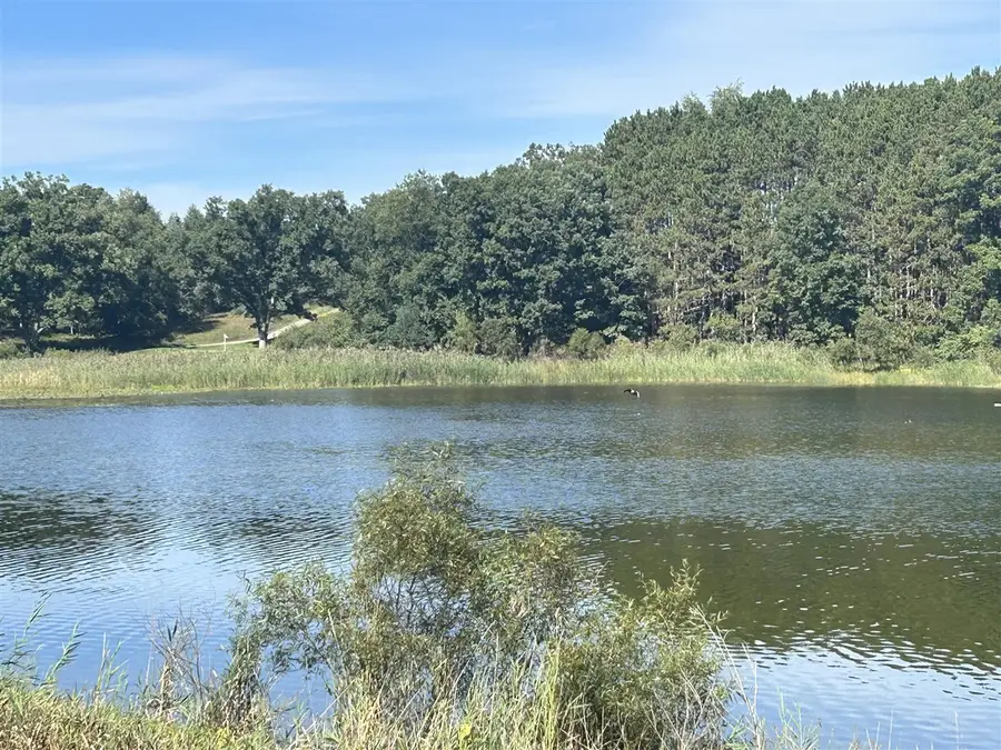 6806 Bantry Bay, Canadian Lakes, MI 49346 - #3