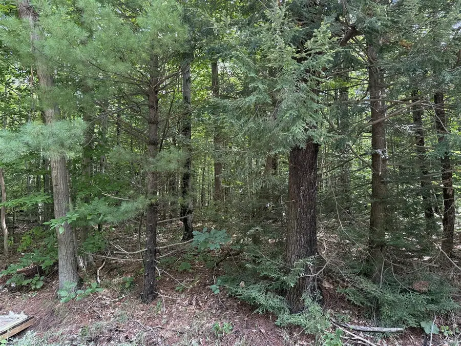 V/L Hyde Park, Muskegon, MI 49445 - #2