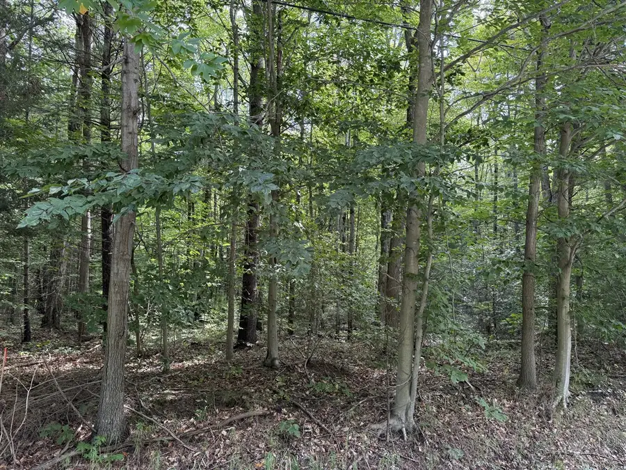 V/L Hyde Park, Muskegon, MI 49445 - #3