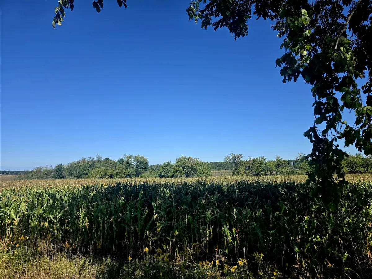 W 24th St, Fremont, MI 49412 - #1