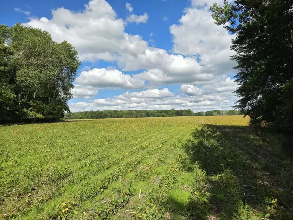 2175 16 Mile, Cedar Springs, MI 49319