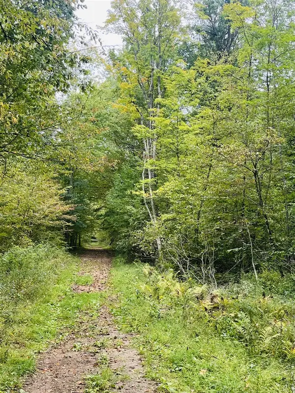 00 200th, Stanwood, MI 49346