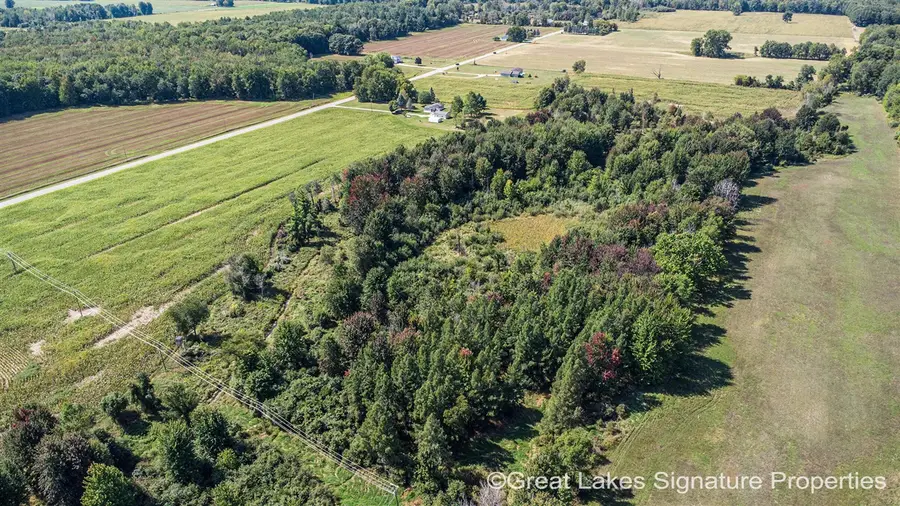 Parcel W Stanton, Pierson, MI 49339 - #2