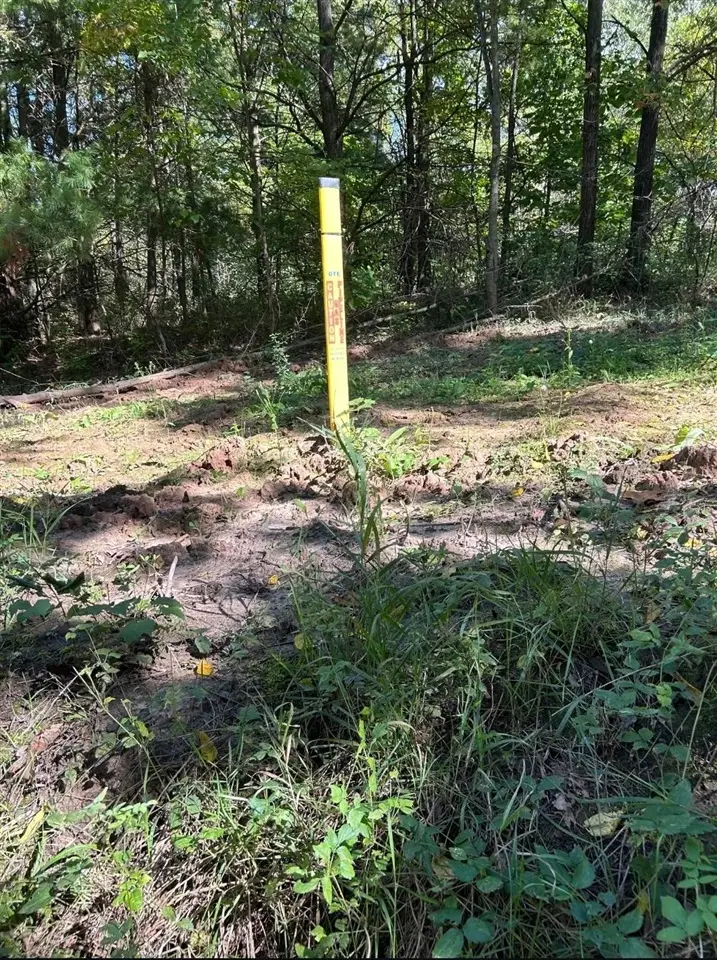 POLP Centerline, Newaygo, MI 49337 - #2