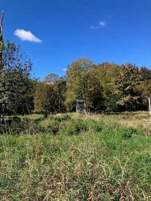 N Sheridan, Sheridan, MI 48884 - #1