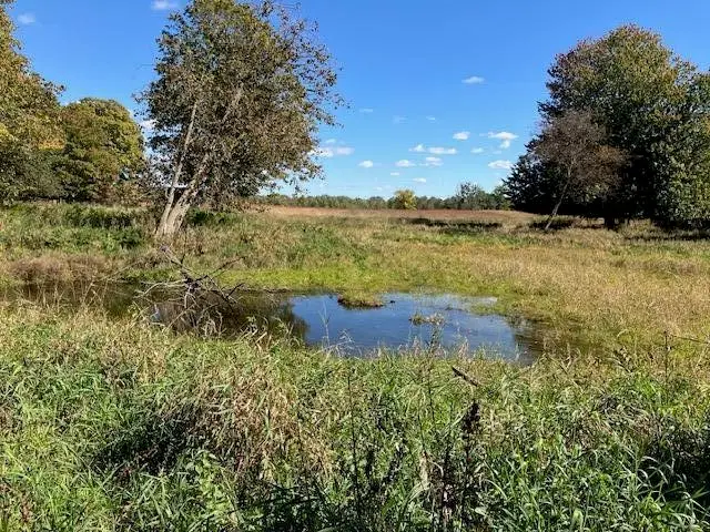 N Sheridan, Sheridan, MI 48884 - #2
