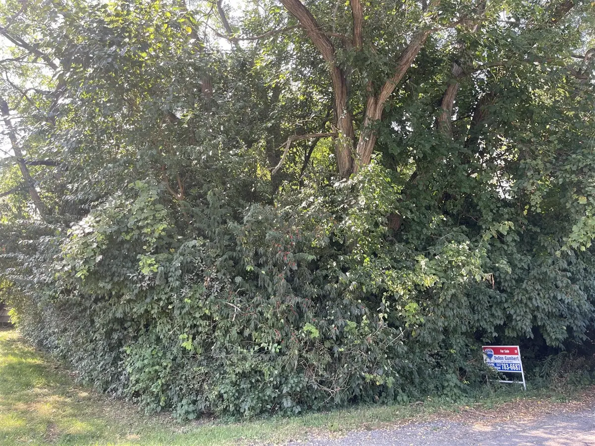 V/L Mcarthur, Jackson, MI 49203 - #1