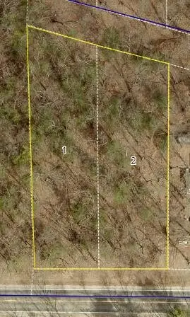Monroe Vacant Land 2 Parcels, Allegan, MI 49010