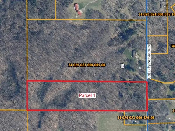 6286 Morrison Lake, Saranac, MI 48881