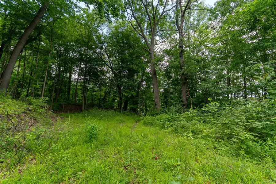 V/l 47.06 Weiser, Niles, MI 49120 - #3