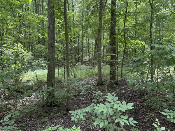 2264 D, East Leroy, MI 49051