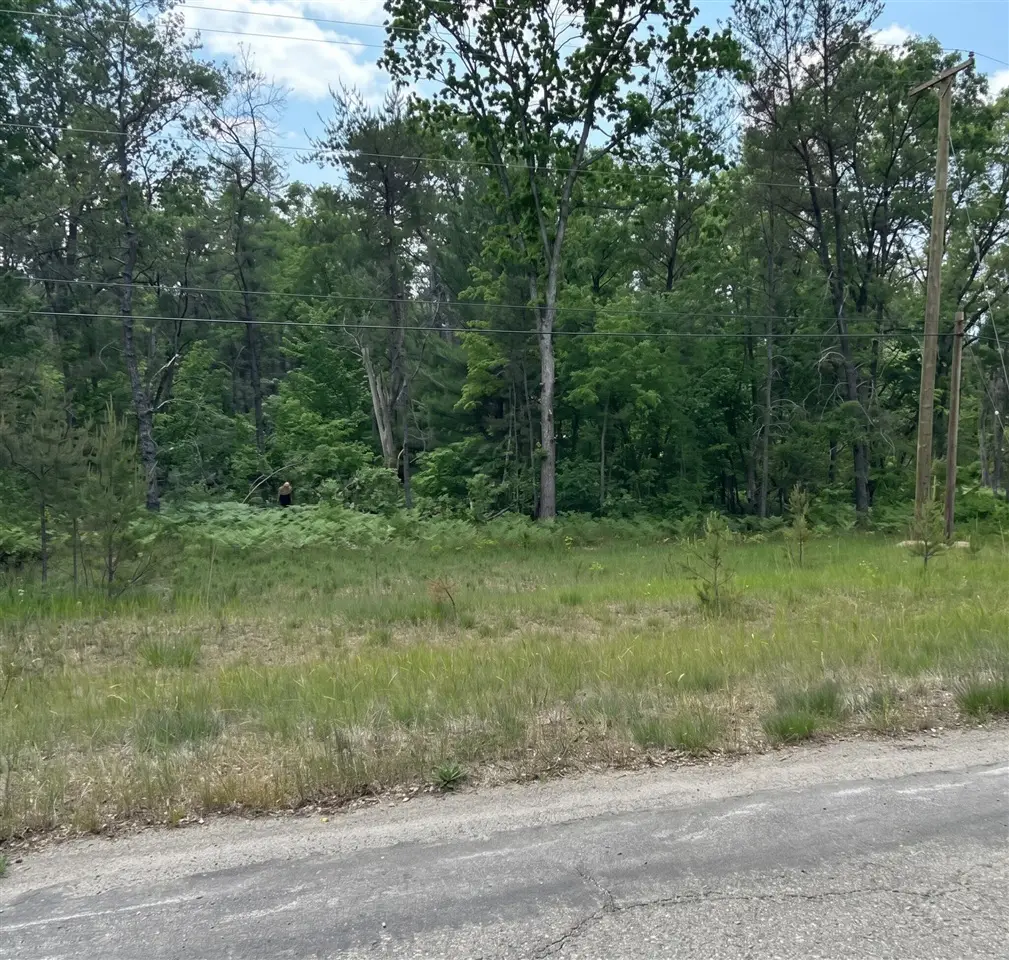 3188 S Yale, Baldwin, MI 49304 - #1