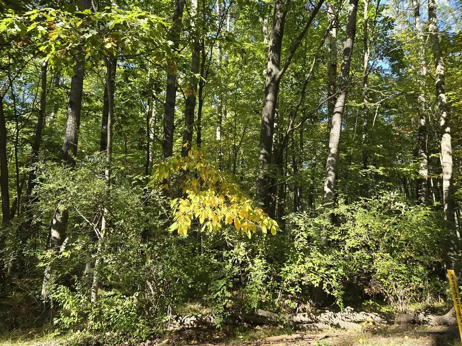 11980 Cape Breton, Canadian Lakes, MI 49346 - #3