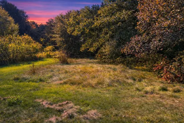 Carol, Newaygo, MI 49337