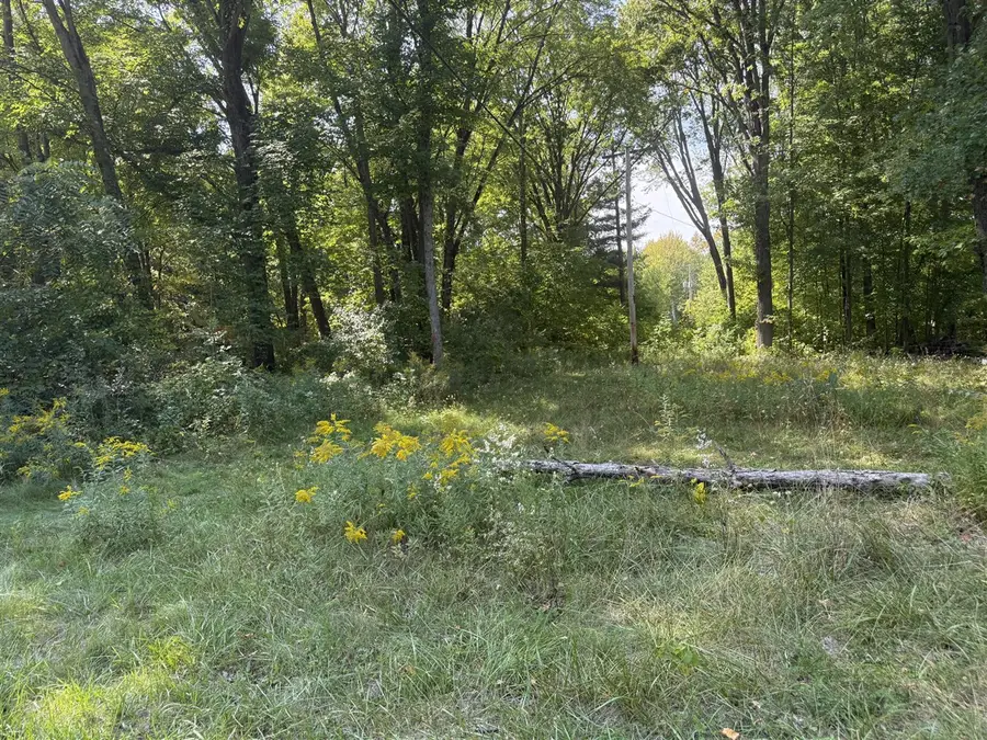 Carol, Newaygo, MI 49337 - #2