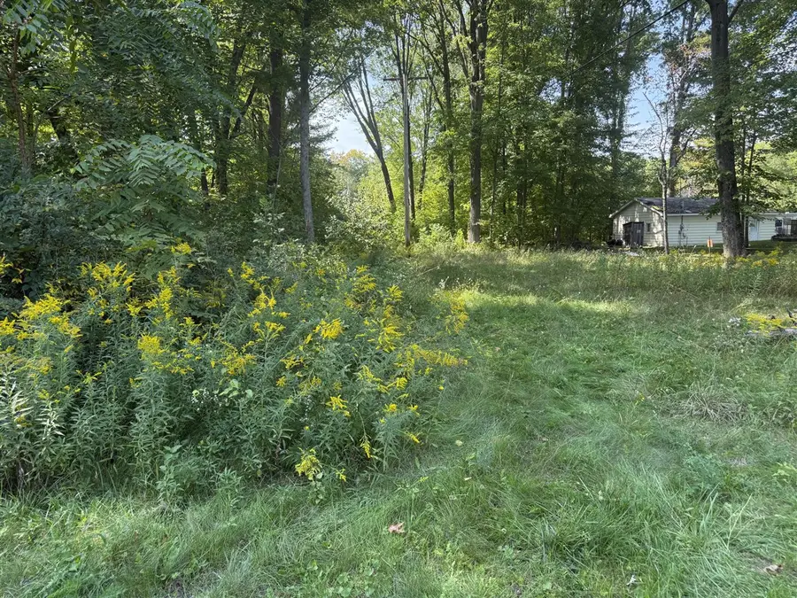Carol, Newaygo, MI 49337 - #3