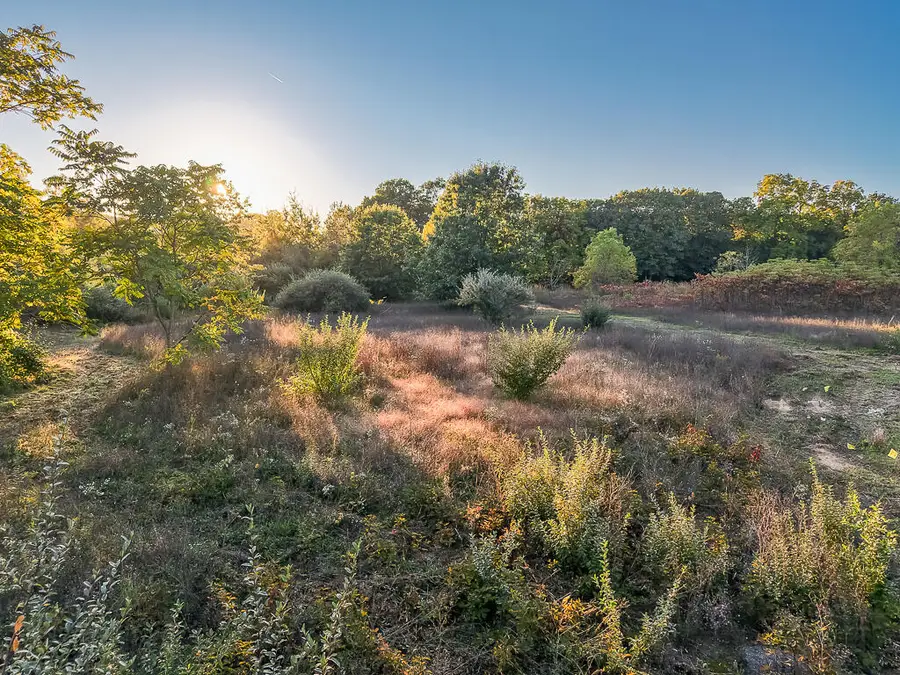 3324 Pine Glen, Saugatuck, MI 49453 - #3