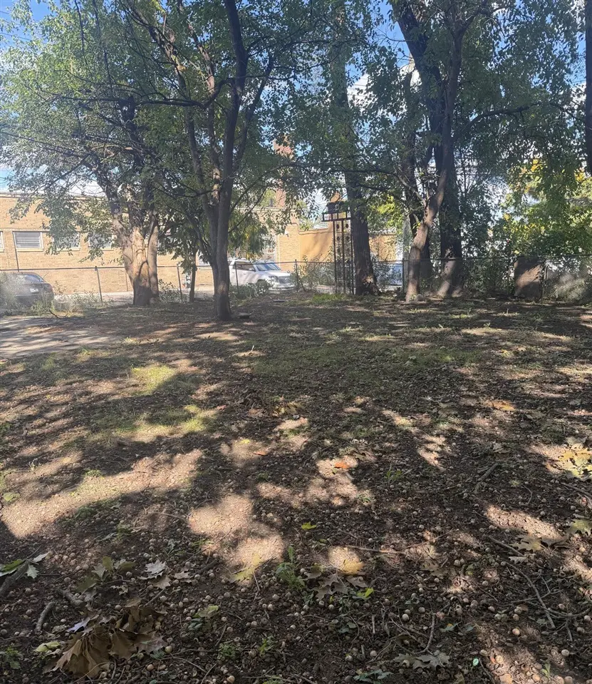 16930 Sorrento, Detroit, MI 48235 - #3