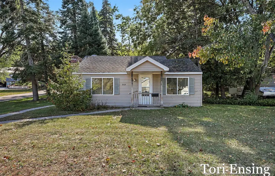 919 W Grove, Greenville, MI 48838 - #2