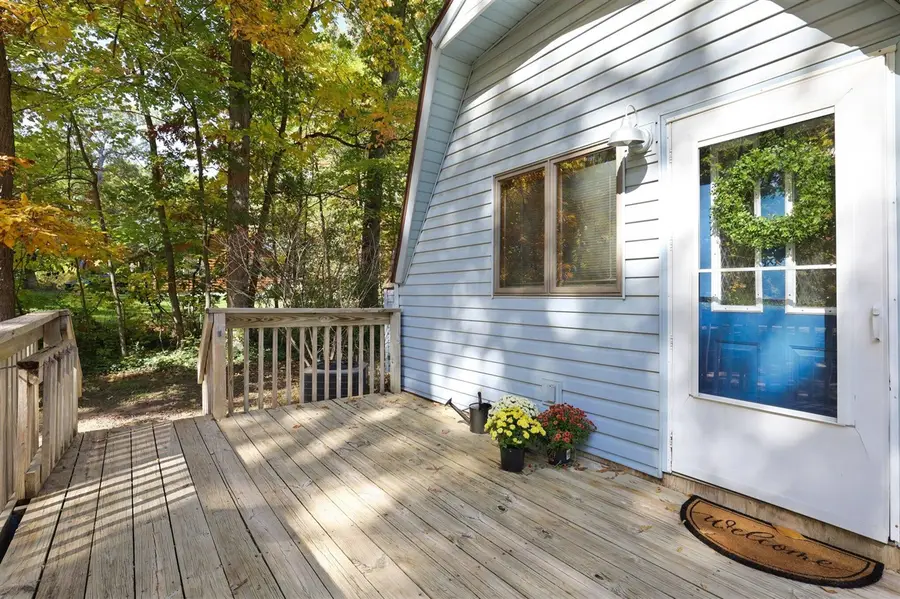 12343 Driscoll, Belding, MI 48809 - #3