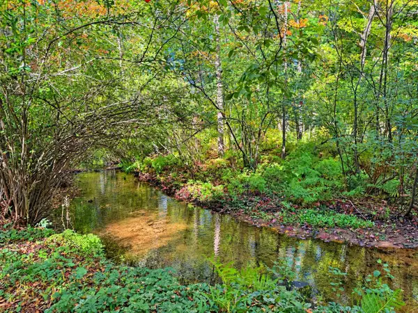6473 Blue Star, Saugatuck, MI 49453