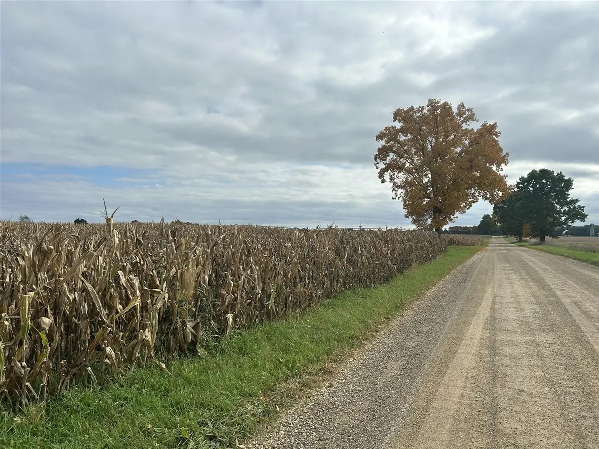 Noonan, Hickory Corners, MI 49060 - #1