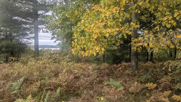 Emerald Ridge, Onekama, MI 49675