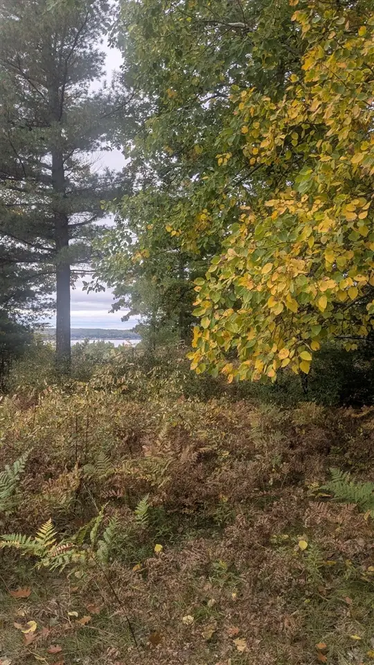 Emerald Ridge, Onekama, MI 49675 - #3