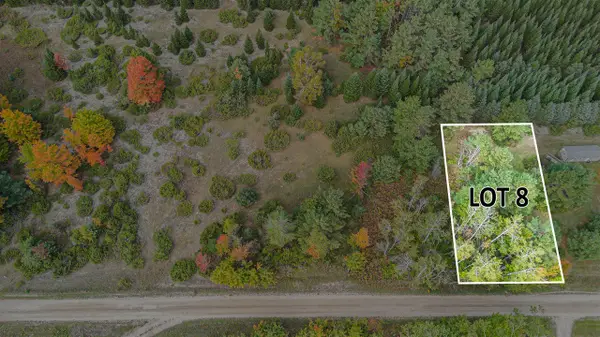 V/L Trout Creek, Cheboygan, MI 49721