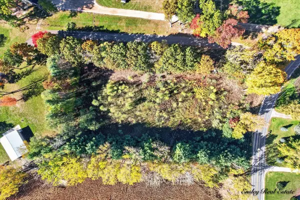 0 Newell Drive, Coral, MI 49322