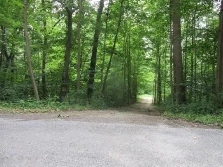 5753 Jackson, Coloma, MI 49038