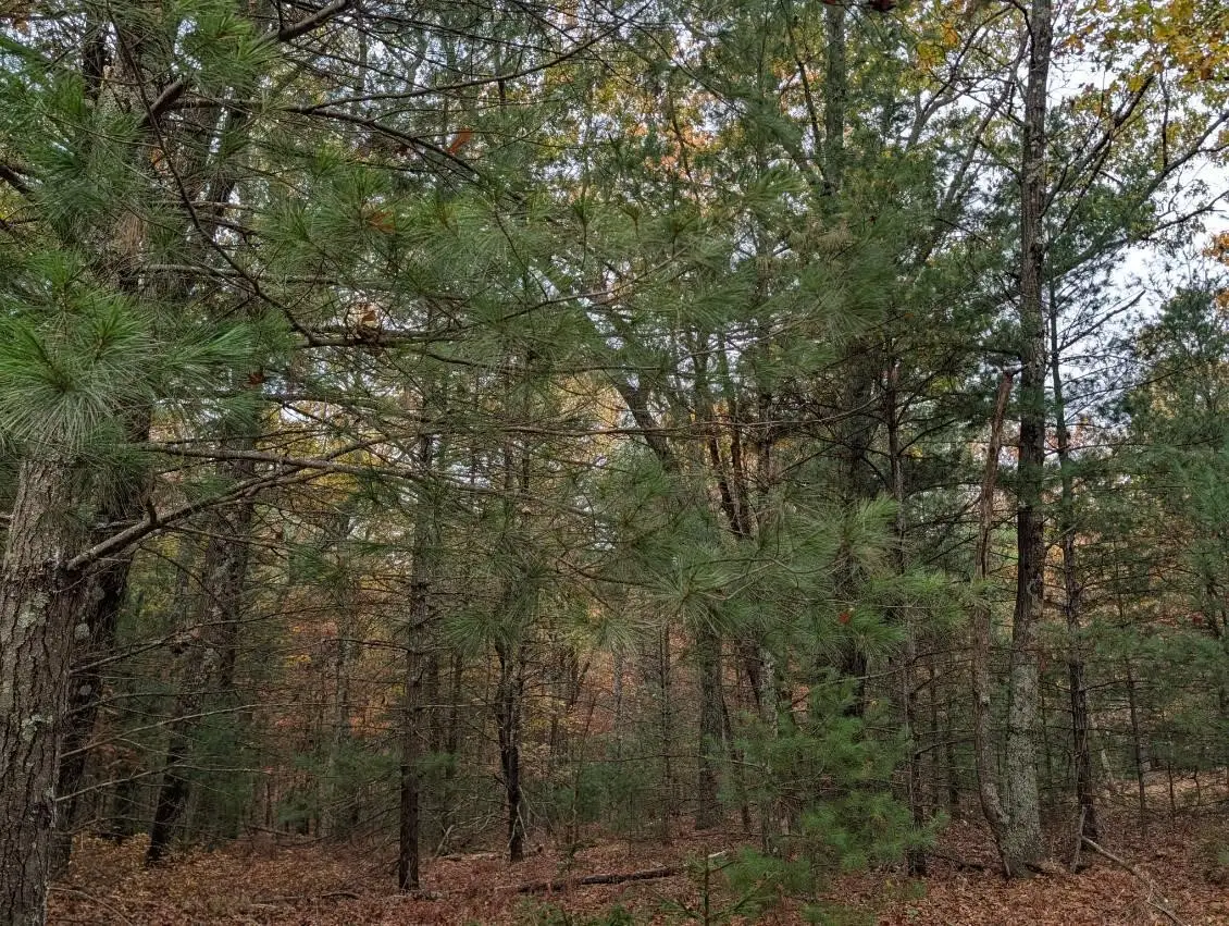 V/L W Crystal Lake, Whitehall, MI 49461 - #1