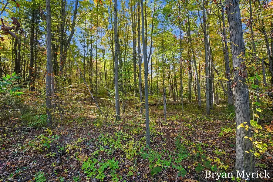 2352 Taft, Allegan, MI 49010 - #3