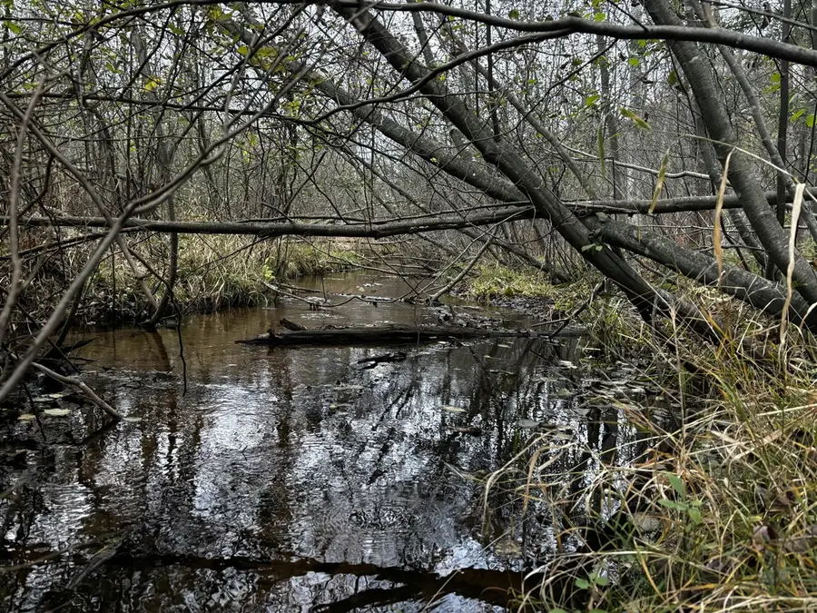 S Carr, Fruitport, MI 49415 - #2