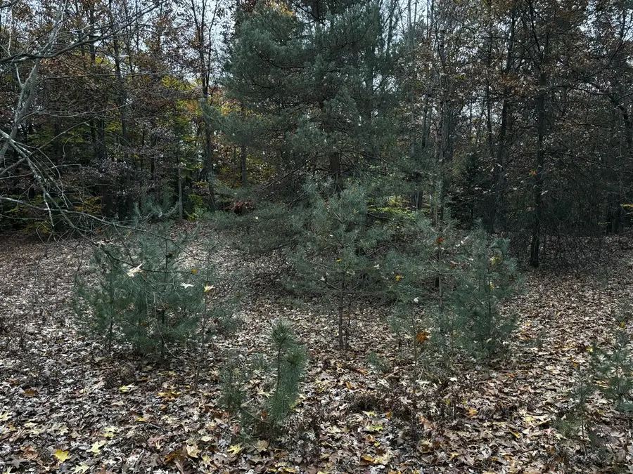 S Carr, Fruitport, MI 49415 - #3