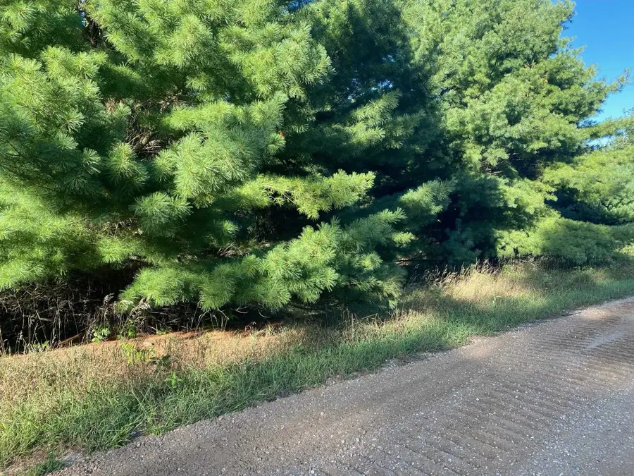 Allegheny, Evart, MI 49631 - Image #3