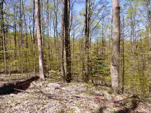 Parcel B Broken Arrow, Bellaire, MI 49615