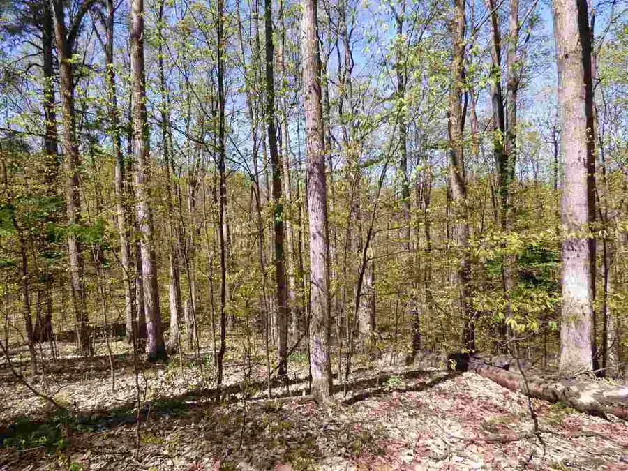 Parcel B Broken Arrow, Bellaire, MI 49615 - Image #3