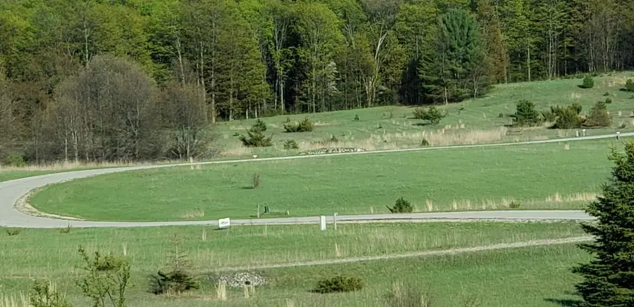 Lot 43 Alden, Alden, MI 49612 - #2