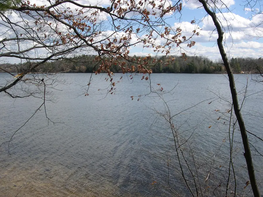 1589 Edgewater, Traverse City, MI 49684 - Image #3