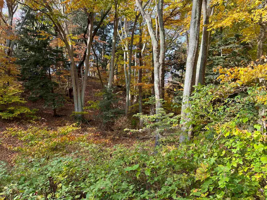 7 Beach, Frankfort, MI 49635 - #2